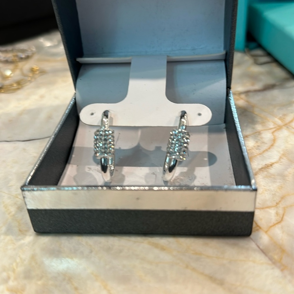 Brand new earrings